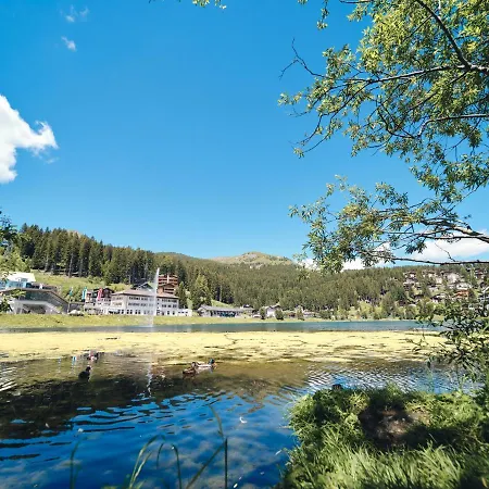 Padrun 4-weisshornbahn-arosa Zentrum-top Lage 公寓 *